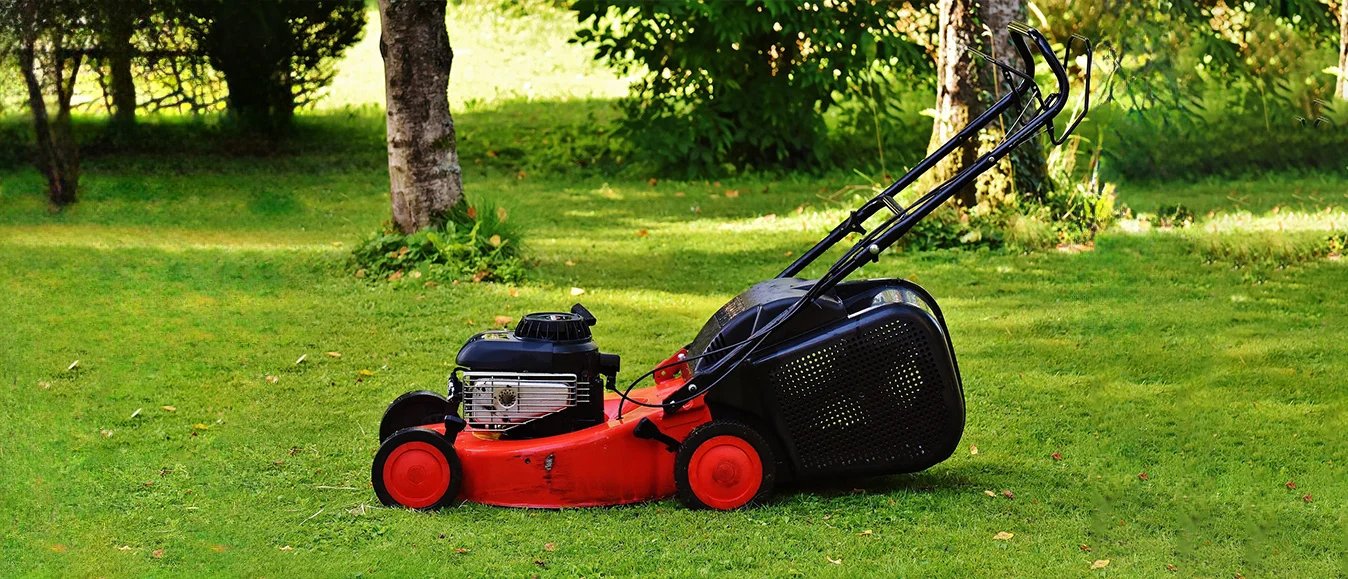 Lawn Trimmer