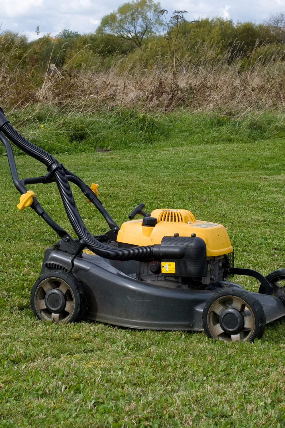 Lawn Trimmer
