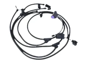 Engine Wiring Harness | Electronic Wiring Harness Manufacturer